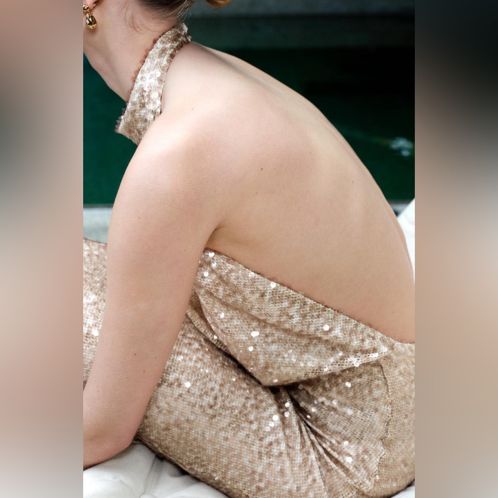 Zara NWT light pink & beige sequin halter top cowl neck formal maxi dress - Picture 7 of 15